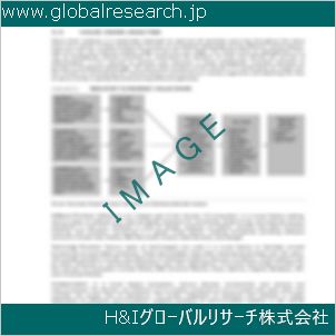 グローバルリサーチ調査資料のイメージ